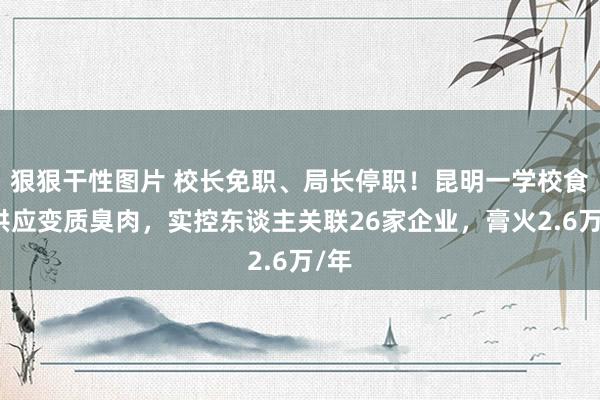 狠狠干性图片 校长免职、局长停职！昆明一学校食堂供应变质臭肉，实控东谈主关联26家企业，膏火2.6万/年