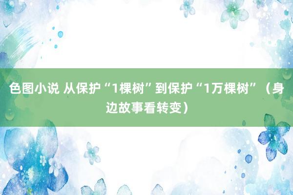 色图小说 从保护“1棵树”到保护“1万棵树”（身边故事看转变）