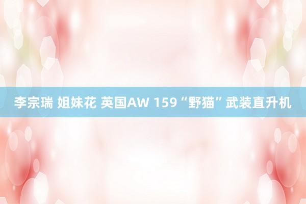 李宗瑞 姐妹花 英国AW 159“野猫”武装直升机