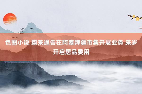 色图小说 蔚来通告在阿塞拜疆市集开展业务 来岁开启居品委用