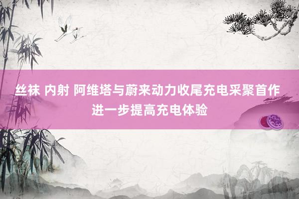 丝袜 内射 阿维塔与蔚来动力收尾充电采聚首作 进一步提高充电体验
