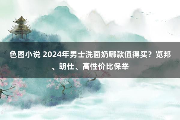 色图小说 2024年男士洗面奶哪款值得买？览邦、朗仕、高性价比保举