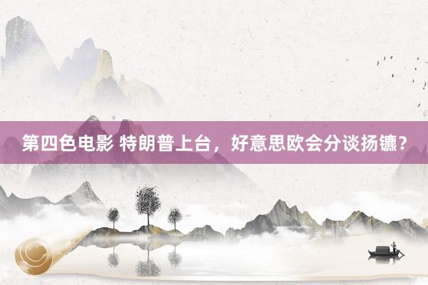 第四色电影 特朗普上台，好意思欧会分谈扬镳？