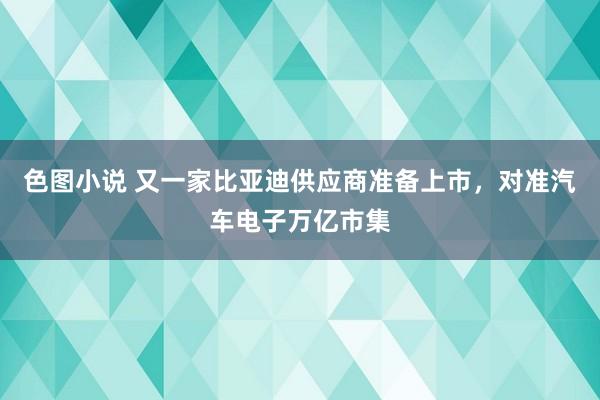 色图小说 又一家比亚迪供应商准备上市，对准汽车电子万亿市集
