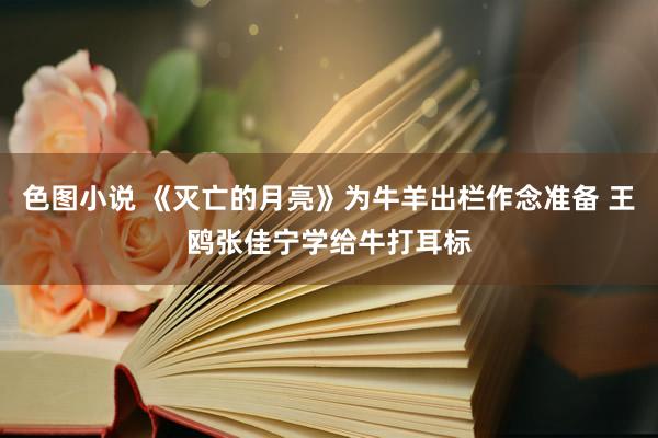 色图小说 《灭亡的月亮》为牛羊出栏作念准备 王鸥张佳宁学给牛打耳标