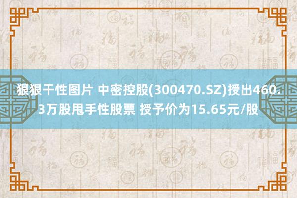 狠狠干性图片 中密控股(300470.SZ)授出460.3万股甩手性股票 授予价为15.65元/股