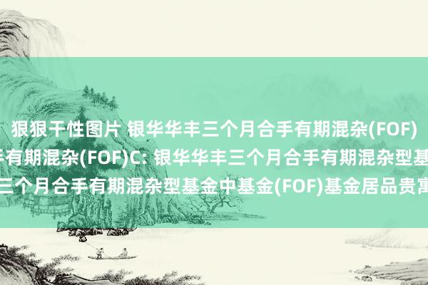 狠狠干性图片 银华华丰三个月合手有期混杂(FOF)A,银华华丰三个月合手有期混杂(FOF)C: 银华华丰三个月合手有期混杂型基金中基金(FOF)基金居品贵寓纲目