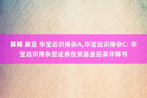 蘇暢 麻豆 华宝远识搀杂A,华宝远识搀杂C: 华宝远识搀杂型证券投资基金招募评释书