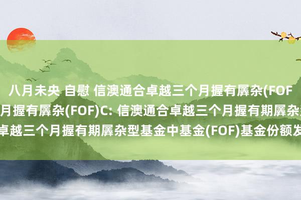八月未央 自慰 信澳通合卓越三个月握有羼杂(FOF)A,信澳通合卓越三个月握有羼杂(FOF)C: 信澳通合卓越三个月握有期羼杂型基金中基金(FOF)基金份额发售公告
