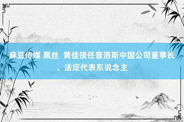 麻豆传媒 黑丝  黄佳接任普洛斯中国公司董事长、法定代表东说念主
