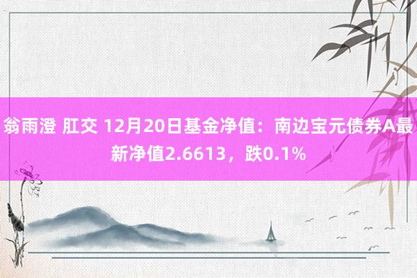 翁雨澄 肛交 12月20日基金净值：南边宝元债券A最新净值2.6613，跌0.1%