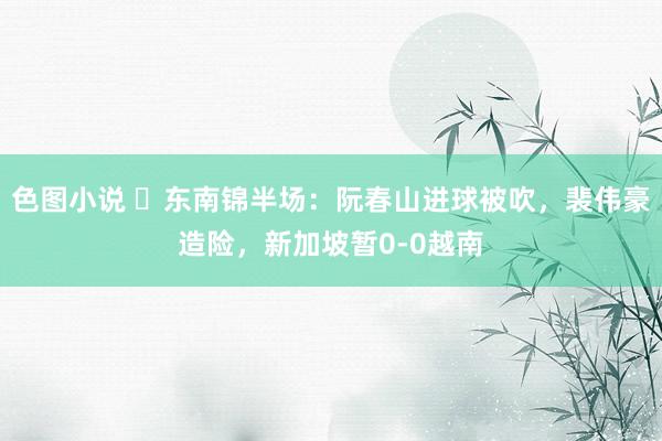 色图小说 ⚽东南锦半场：阮春山进球被吹，裴伟豪造险，新加坡暂0-0越南