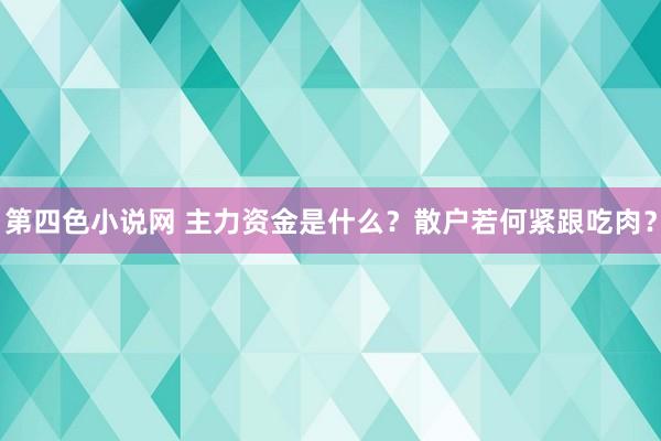 第四色小说网 主力资金是什么？散户若何紧跟吃肉？