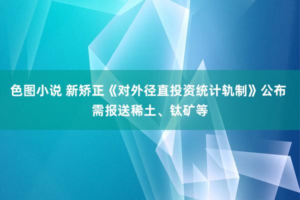 色图小说 新矫正《对外径直投资统计轨制》公布 需报送稀土、钛矿等