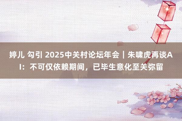 婷儿 勾引 2025中关村论坛年会｜朱啸虎再谈AI：不可仅依赖期间，已毕生意化至关弥留