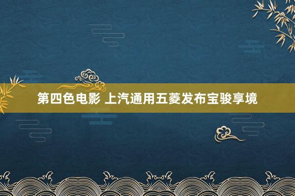 第四色电影 上汽通用五菱发布宝骏享境