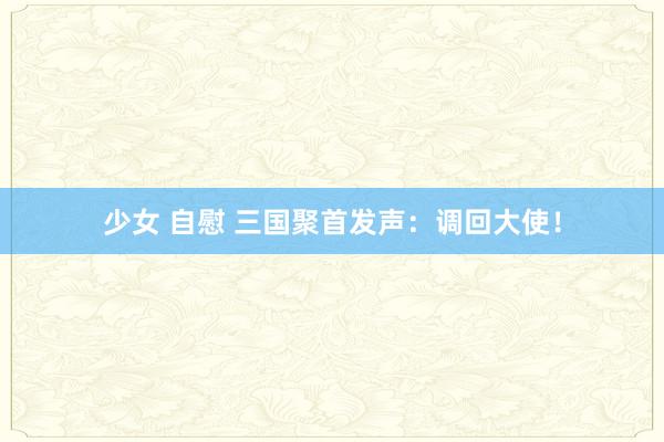 少女 自慰 三国聚首发声：调回大使！