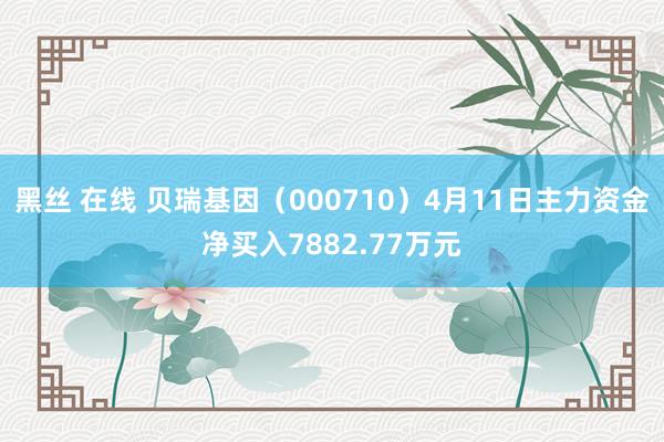 黑丝 在线 贝瑞基因（000710）4月11日主力资金净买入7882.77万元