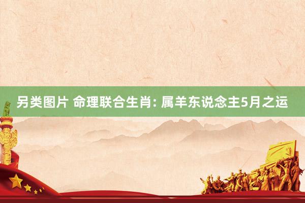 另类图片 命理联合生肖: 属羊东说念主5月之运