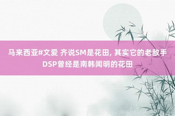 马来西亚#文爱 齐说SM是花田， 其实它的老敌手DSP曾经是南韩闻明的花田