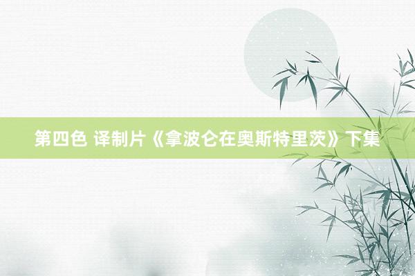 第四色 译制片《拿波仑在奥斯特里茨》下集